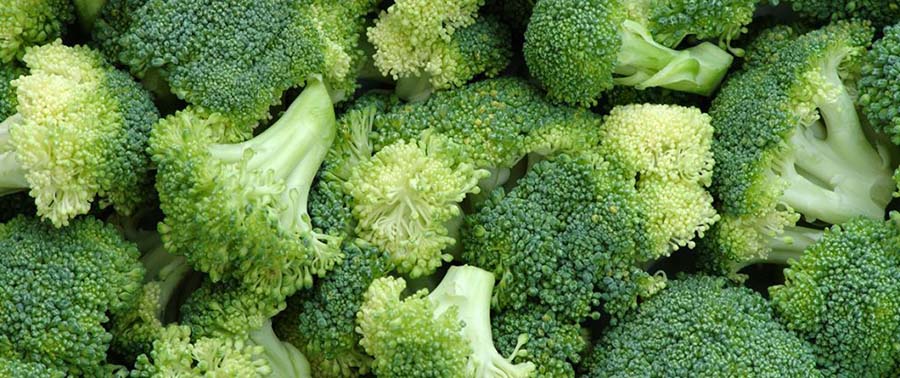Time to Slap on the BROCCOLI?  Compound in Vegetable Found to Protect Against Sunburn and Skin Cancer