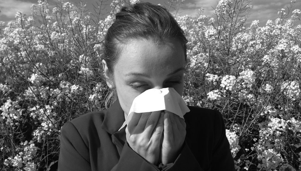 probiotics and hay fever